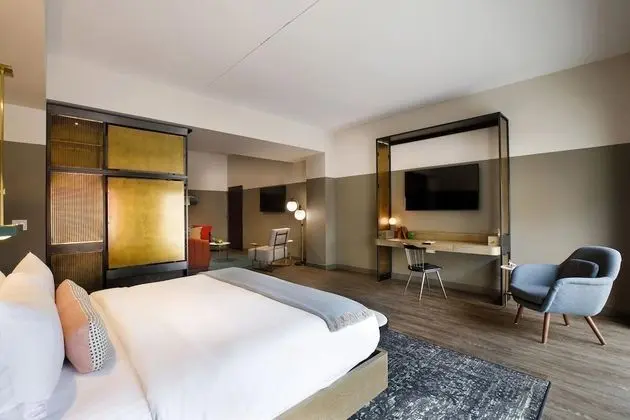 Deluxe Oda, 1 En Büyük (King) Boy Yatak ve Çekyat, Sigara İçilmez