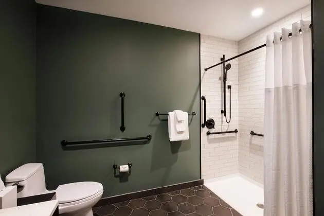 Deluxe Oda, 1 En Büyük (King) Boy Yatak ve Çekyat, Sigara İçilmez