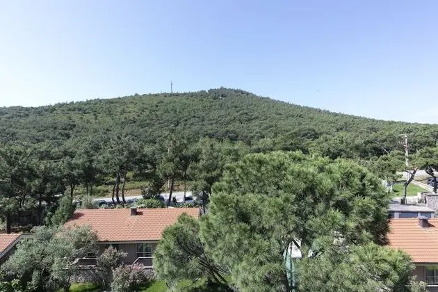 Comfort Oda, Bahçe Manzaralı