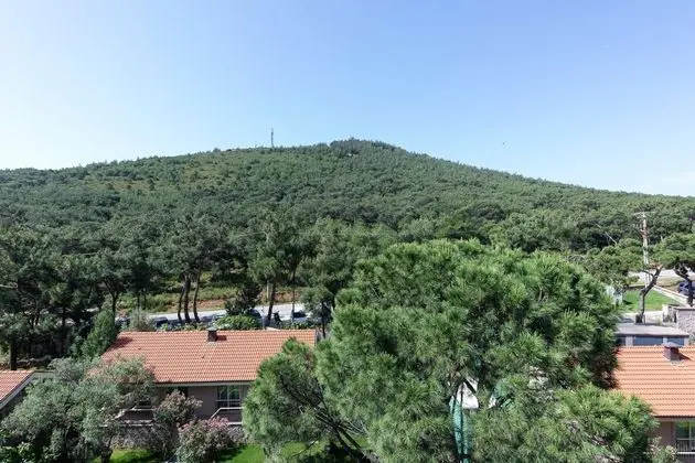 Comfort Orman Manzaralı Oda