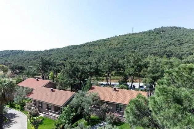 Comfort Orman Manzaralı Oda