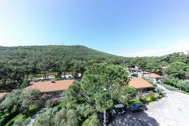 Comfort Orman Manzaralı Oda