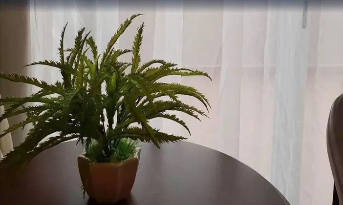 Deluxe Tek Büyük veya İki Ayrı Yataklı Oda, 1 Yatak Odası, Balkon