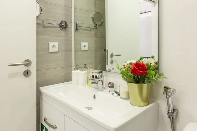Standard Apartment, With Suite