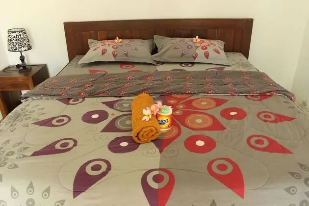 Tek Büyük Yataklı Oda (Fan)