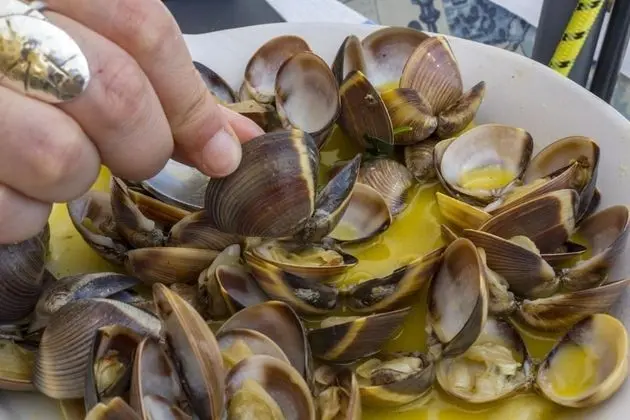 Villa, Engellilere Uygun