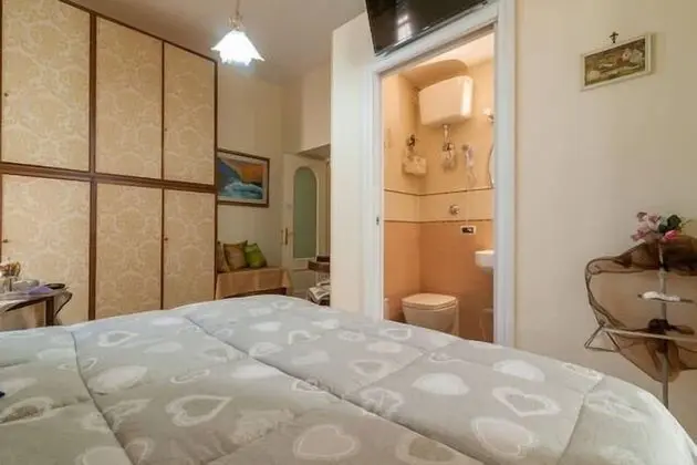 Superior Tek Büyük veya İki Ayrı Yataklı Oda, Özel Banyo (Violetta)