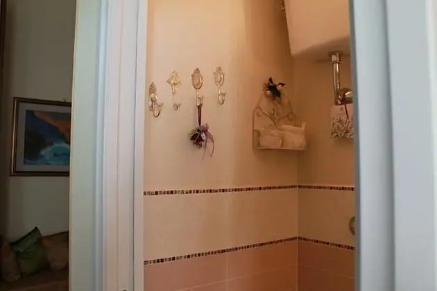 Superior Tek Büyük veya İki Ayrı Yataklı Oda, Özel Banyo (Violetta)