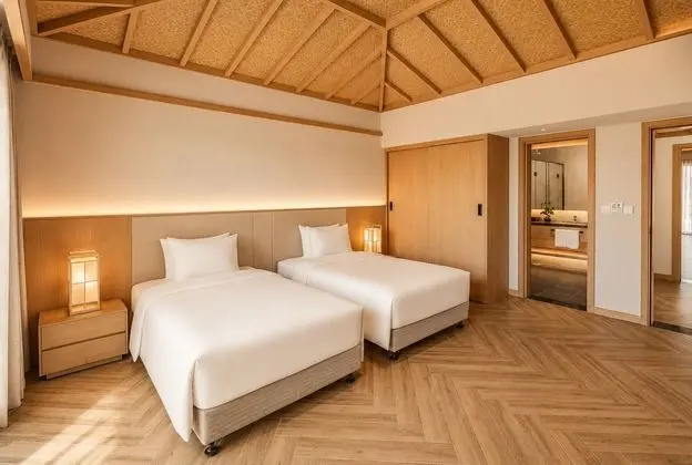 Tek Büyük Yataklı Oda (Hinode Villa Onsen Water, Park Inc)