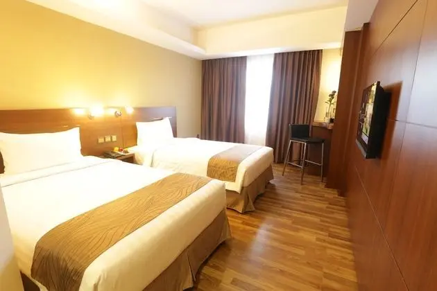 Deluxe Oda, Şehir Manzaralı (Twin)