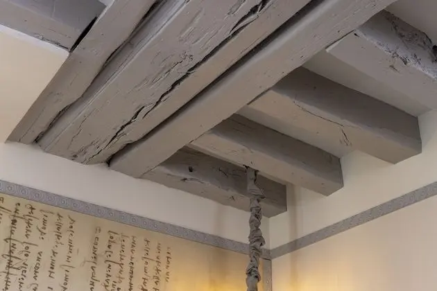 Superior Oda, 1 Çift Kişilik Yatak
