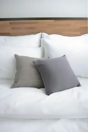 Tek Büyük Yataklı Oda, Penceresiz (Private Ensuite)