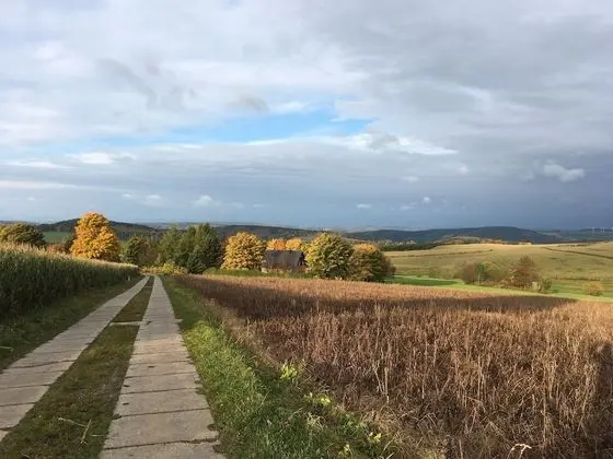 Classic Tek Büyük Yataklı Oda