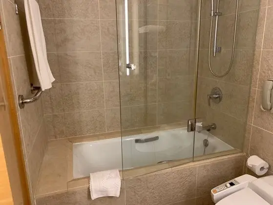 Executive Tek Büyük Yataklı Oda, 1 En Büyük (King) Boy Yatak