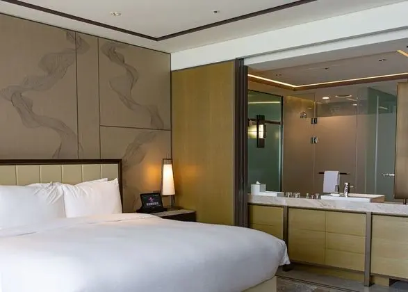 Premium Oda, 1 En Büyük (King) Boy Yatak, Sigara İçilmez (Premium Deluxe Room)