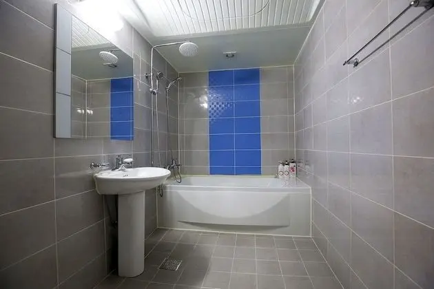 Oda (Special-OTT service(Netflix))