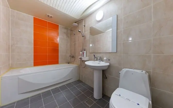 Oda (Standard-OTT service(Netflix))