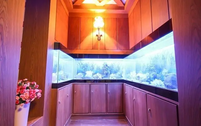 Oda (Specials (Twin+ Netflix Wave availabl)