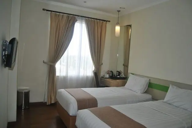 Deluxe İki Ayrı Yataklı Oda, 1 Yatak Odası, Sigara İçilebilir