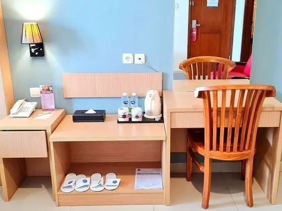Executive Tek Büyük Yataklı Oda