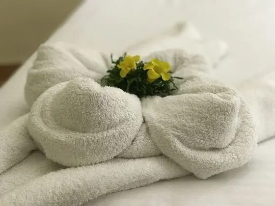 Executive İki Ayrı Yataklı Oda