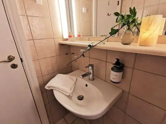 Superior Tek Büyük Yataklı Oda