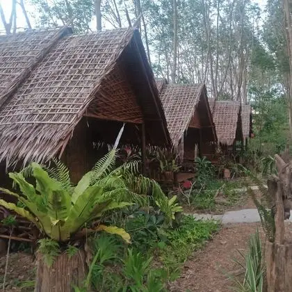Bungalov, Sigara İçilmez