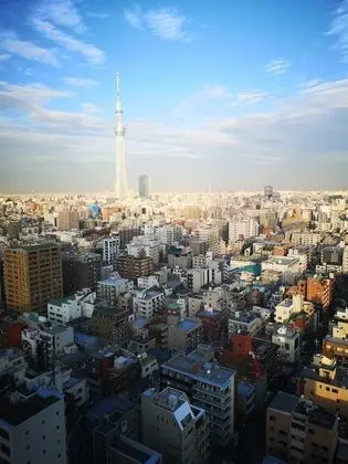 Standard İki Ayrı Yataklı Oda, Sigara İçilmez (Sky Tree View)