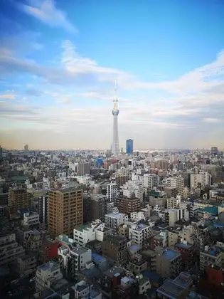 Standard İki Ayrı Yataklı Oda, Sigara İçilmez (Sky Tree View)