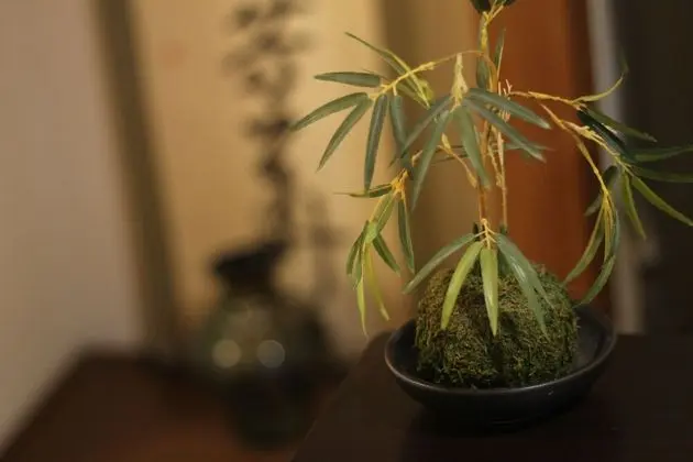 Daire, 1 Yatak Odası (701)