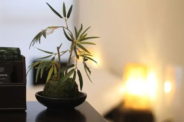 Daire, 1 Yatak Odası (701)