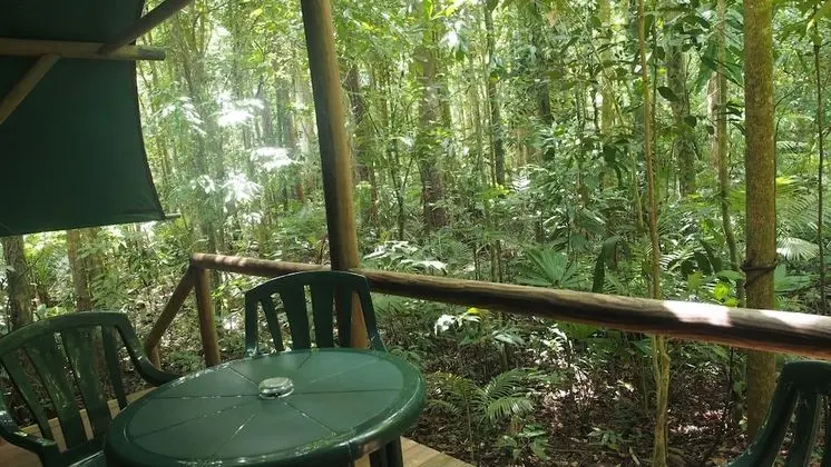 Ağaç Ev, Banyolu/Duşlu (Tropical Cabin)