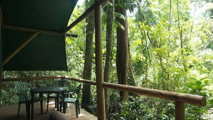 Ağaç Ev, Banyolu/Duşlu (Tropical Cabin)
