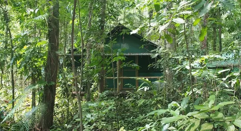 Ağaç Ev, Banyolu/Duşlu (Tropical Cabin)