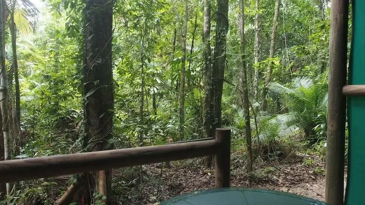 Ağaç Ev, Banyolu/Duşlu (Tropical Cabin)