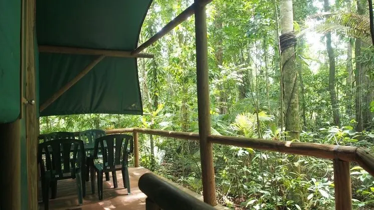 Family Oda (Safari Hut)