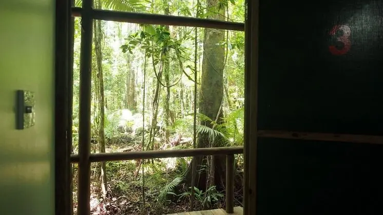 Family Oda (Safari Hut)