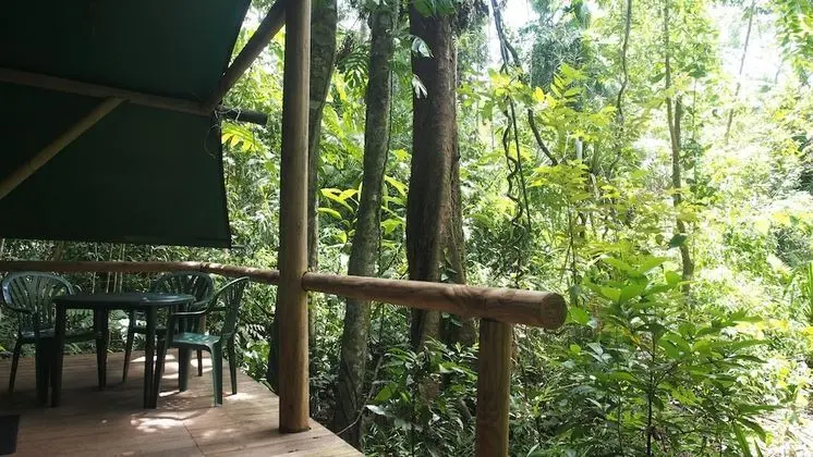 Family Oda (Safari Hut)
