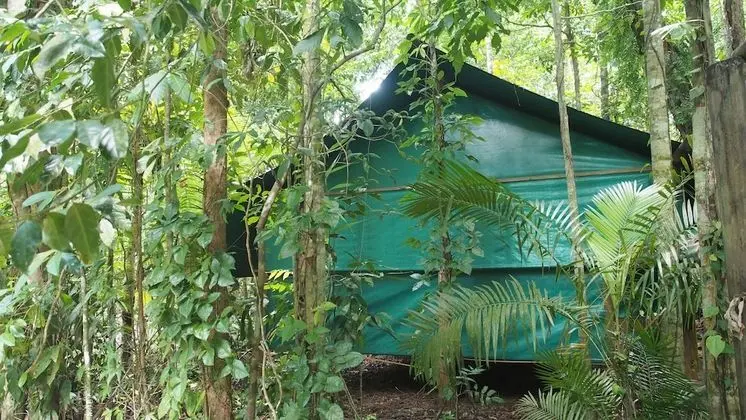 Family Oda (Safari Hut)