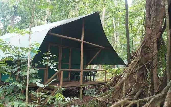 Family Oda (Safari Hut)