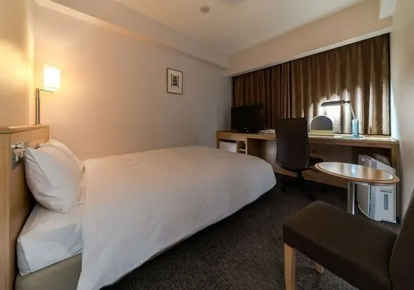 Deluxe Tek Kişilik Oda, 1 Çift Kişilik Yatak, Sigara İçilmez