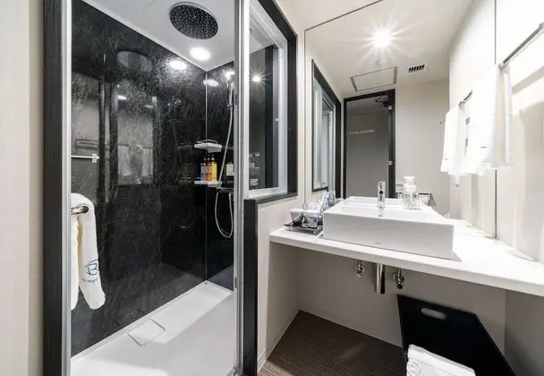 Tek Büyük Yataklı Oda, Sigara İçilmez (Smart, With shower, Single Use)