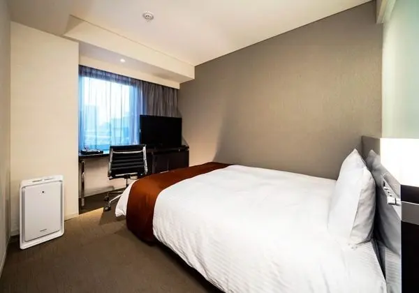 Economy Tek Büyük Yataklı Oda, Sigara İçilmez (Bed Size 154cm)
