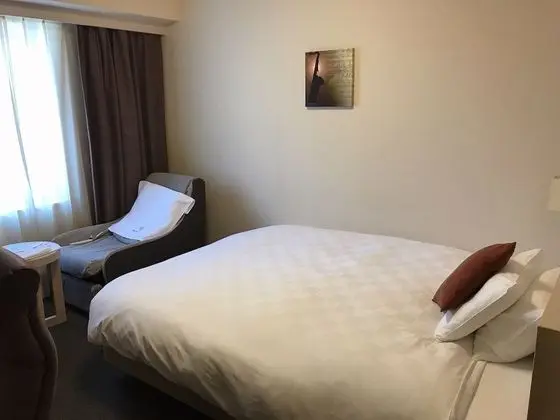 Comfort Büyük Yataklı Tek Kişilik Oda, 1 Çift Kişilik Yatak, Sigara İçilmez (with Massage Chair)