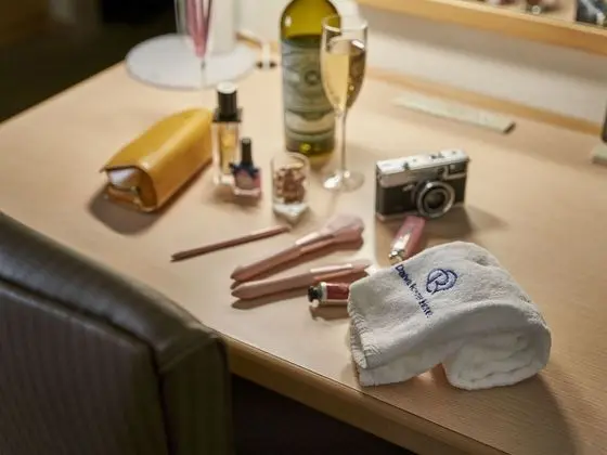 Superior İki Ayrı Yataklı Oda, Sigara İçilmez (Hollywood)