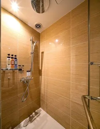 Tek Büyük Yataklı Oda, Sigara İçilmez (Shower Only, Moderate)