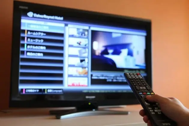 Tek Kişilik Oda, Sigara İçilmez (Hollywood, Single Use)