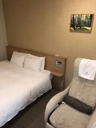 Deluxe Tek Büyük Yataklı Oda, 1 Çift Kişilik Yatak, Sigara İçilmez