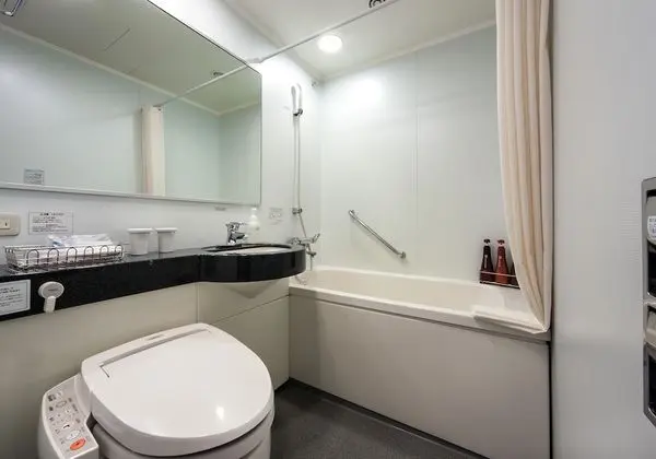 Standard Tek Büyük Yataklı Oda, Sigara İçilmez, Şehir Manzaralı