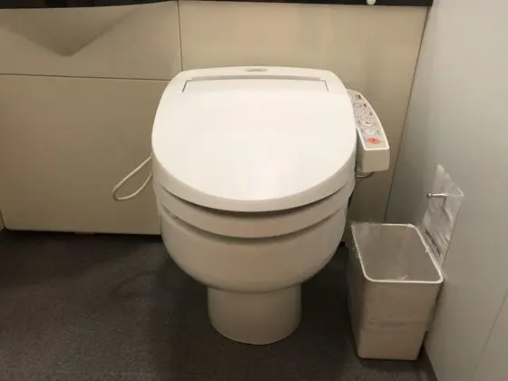 Standard Tek Büyük Yataklı Oda, Sigara İçilmez, Şehir Manzaralı